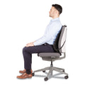 Fellowes Office Suites Mesh Back Support, 17.3 x 5.56 x 20.18, Black