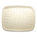World Centric Fiber Trays, PLA Lined, PFAS Free, 1-Compartment, 18 x 14 x 1, Natural, Paper, 100/Carton