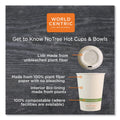 World Centric NoTree Paper Hot Cups, 16 oz, Natural, 1,000/Carton