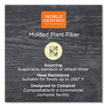 World Centric Fiber Trays, 1-Compartment, 8.3 x 4.9 x 0.7, Natural, Paper, 500/Carton