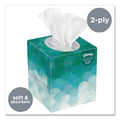 Kleenex Boutique White Facial Tissue for Business, Pop-Up Box, 2-Ply, 95 Sheets/Box, 6 Boxes/Pack, 6 Packs/Carton