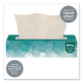 Kleenex White Facial Tissue for Business, 2-Ply, White, 100 Sheets/Box, 10 Boxes/Bundle, 6 Bundles/Carton