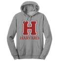 Harvard University H Logo Hooded Sweatshirt - Oxford Gray by Tee Luv