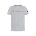 Champion Big Boys Pixel Script T-Shirt by Vanessa Jane