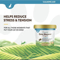 6X NaturVet Quiet Moments Calming Aid + Melatonin Soft Chews for Cats 60ct by Price Is Right Miami