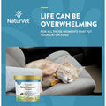 6X NaturVet Quiet Moments Calming Aid + Melatonin Soft Chews for Cats 60ct by Price Is Right Miami