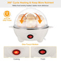 7 Capacity Electric Egg Cooker by DailySale