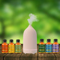7-Piece: Ultrasonic Aromatherapy Essential Oil Diffuser with Essential Oils by DailySale