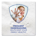 Safeguard Antibacterial Liquid Hand Soap, Fresh Clean Scent, 10.1 oz Pump Bottle, 4/Carton