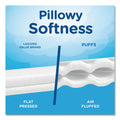 Puffs Plus Lotion Facial Tissue, 2-Ply, White, 124/Box, 3 Box/Pack, 8 Packs/Carton