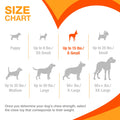 Nylabone Ring Bone Chew Toy for Puppies, Puppy Teething Toys, Puppy Enrichment Toys, Chicken Flavor, X-Small Dogs - Up to 15 lbs, 1 Count