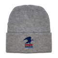 USPS Eagles Beanie - Gray by Tee Luv