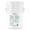 Palmolive Professional Dishwashing Liquid, Original Scent, 5 gal Pail