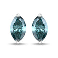 0.69 Carat Genuine Blue Diamond 14K White Gold Earrings by Bids.com