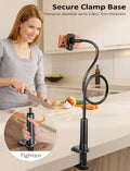 Gooseneck Phone Holder Stand for Desk Table Bed Fits 4-7 inch Phones Black by Merch Section