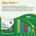 BestBy02/27 PWERD NAD+ Trans Resveratrol 1000mg 150 Capsules Supplement by Deal US
