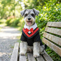 Haakong Graduation Costume for Dog, Graduation Gown Pet Outfit Accessory for Small Dogs and Cats Graduation Party Dress