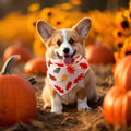 Preboun 100Pcs Fall Thanksgiving Dog Bandanas Pumpkin Maple Leaves Yellow Orange by Deal US