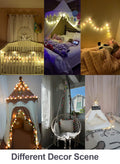 ChiRee Indoor String Lights 6.56ft 20 LED Battery Operated Warm White Pom Poms by Deal US