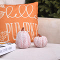 Ovootok Resin Pumpkins Fall Decorations White 2PCS Thanksgiving Decor by Deal US