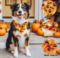 Raisingwell Dog Bandana Halloween N.Helloween 1 Pack Size Large by Deal US