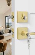 Goldenwarm Gold Dummy Door Handles Brushed Brass Levers 3 Pack by Deal US