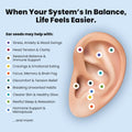CalmPops Acupressure Ear Seeds Kit 24K Gold Plated 60 Units Immune Digestive by Deal US