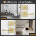 Goldenwarm Gold Dummy Door Handles Brushed Brass Levers 3 Pack by Deal US