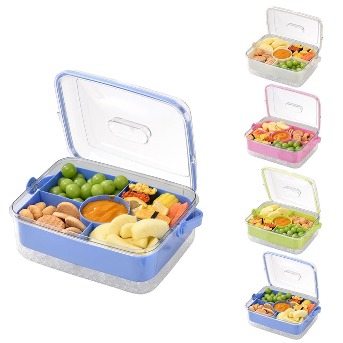 Hegrish Fruit Ice Serving Tray Clear Light Blue 4 Compartments with Lid by Deal US