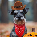 PEUTIER Pet Cowboy Costume Dog Hat & Bandana Brown Red Small by Deal US