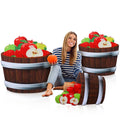 Beeveer Fall Thanksgiving Harvest Apple Orchard Cardboard Cutouts 20-26" Set by Deal US