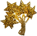 Signature Battery Operated Star Metal Cap LED Light String, Gold by Vanessa Jane