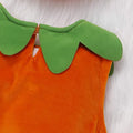 HengShunRui Unisex Baby Pumpkin Costume, Size 6/12 Months by Vanessa Jane