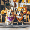 Raisingwell Dog Bandana Halloween N.Helloween 1 Pack Size Large by Deal US