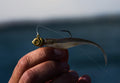 Northland Smeltinator Jig Head Bass Fishing Lure 3-Pack 1/8oz 5/0 Hook by Deal US