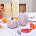 Ovootok Resin Pumpkins Fall Decorations White 2PCS Thanksgiving Decor by Deal US