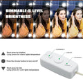 Vanity Lights for Mirror,Premtess Hollywood Style Vanity Lights with 10 dimmable by Vanessa Jane