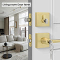 Goldenwarm Gold Dummy Door Handles Brushed Brass Levers 3 Pack by Deal US