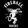 Where's The Fireball Whisky WTF Dragon Mascot T-Shirt - Black by Tee Luv