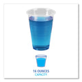 Boardwalk Translucent Plastic Cold Cups, 16 oz, Polypropylene, 50 Cups/Sleeve, 20 Sleeves/Carton