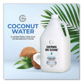 Germs Be Gone Antibacterial Hand Soap, Aloe, 1 gal Cap Bottle