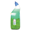LYSOL Cling and Fresh Toilet Bowl Cleaner, Forest Rain Scent, 24 oz, 2/Pack
