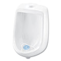 Big D Industries Extra Duty Urinal Screen with Non-Para Block, Evergreen with Enzymes Scent, White, Dozen