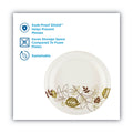 Dixie Pathways Soak-Proof Shield Mediumweight Paper Plates, 8.5" dia, Green/Burgundy, 1,000/Carton