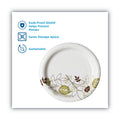 Dixie Pathways Soak-Proof Shield Mediumweight Paper Plates, WiseSize, 6.88" dia, Green/Burgundy, 125/Pack
