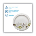 Dixie Pathways Soak Proof Shield Heavyweight Paper Plates, 5.88" dia, Green/Burgundy, 250 Pack, 4 Packs/Carton
