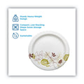 Dixie Pathways Soak Proof Shield Heavyweight Paper Plates, 8.5" dia, Green/Burgundy, 125/Pack
