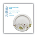 Dixie Pathways Soak Proof Shield  Heavyweight Paper Plates, WiseSize, 5.88" dia, Green/Burgundy, 500/Carton