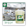 OdoBan Concentrated Odor Eliminator and Disinfectant, Eucalyptus, 5 gal Pail