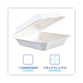 Boardwalk Bagasse Food Containers, Hinged-Lid, 1-Compartment 9 x 9 x 3.19, White,  Sugarcane, 100/Sleeve, 2 Sleeves/Carton